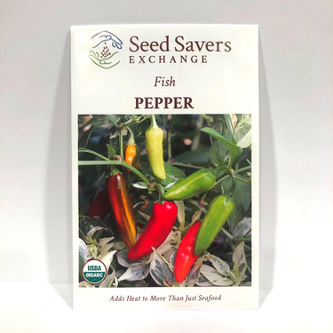Fish Pepper, 1800's Heirloom (Hot)